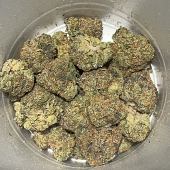 Meet your Posher, Fletcher - Picture 1 of 1